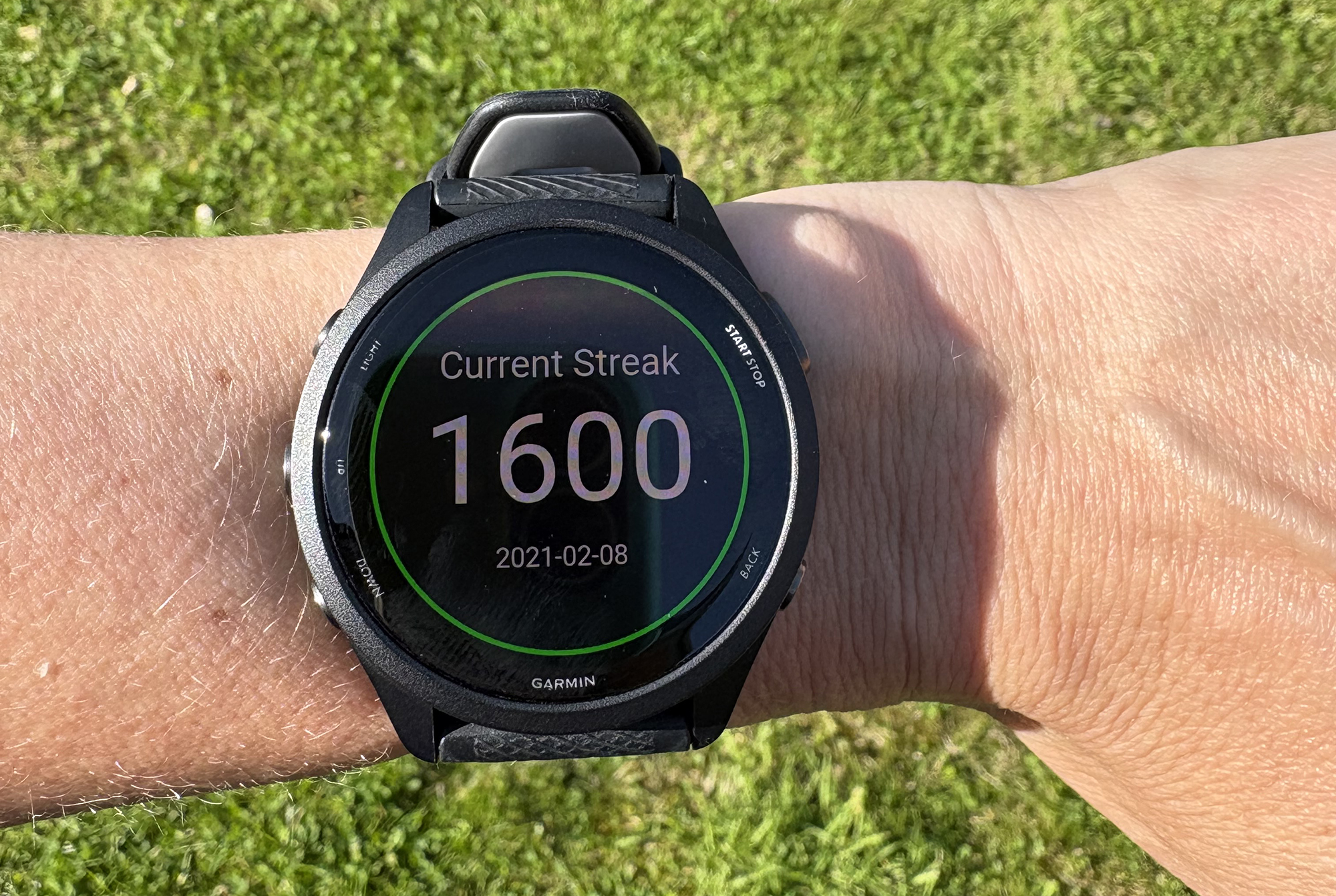 Garmin watch showing 1600 day running consistency streak on runner's wrist against grass background