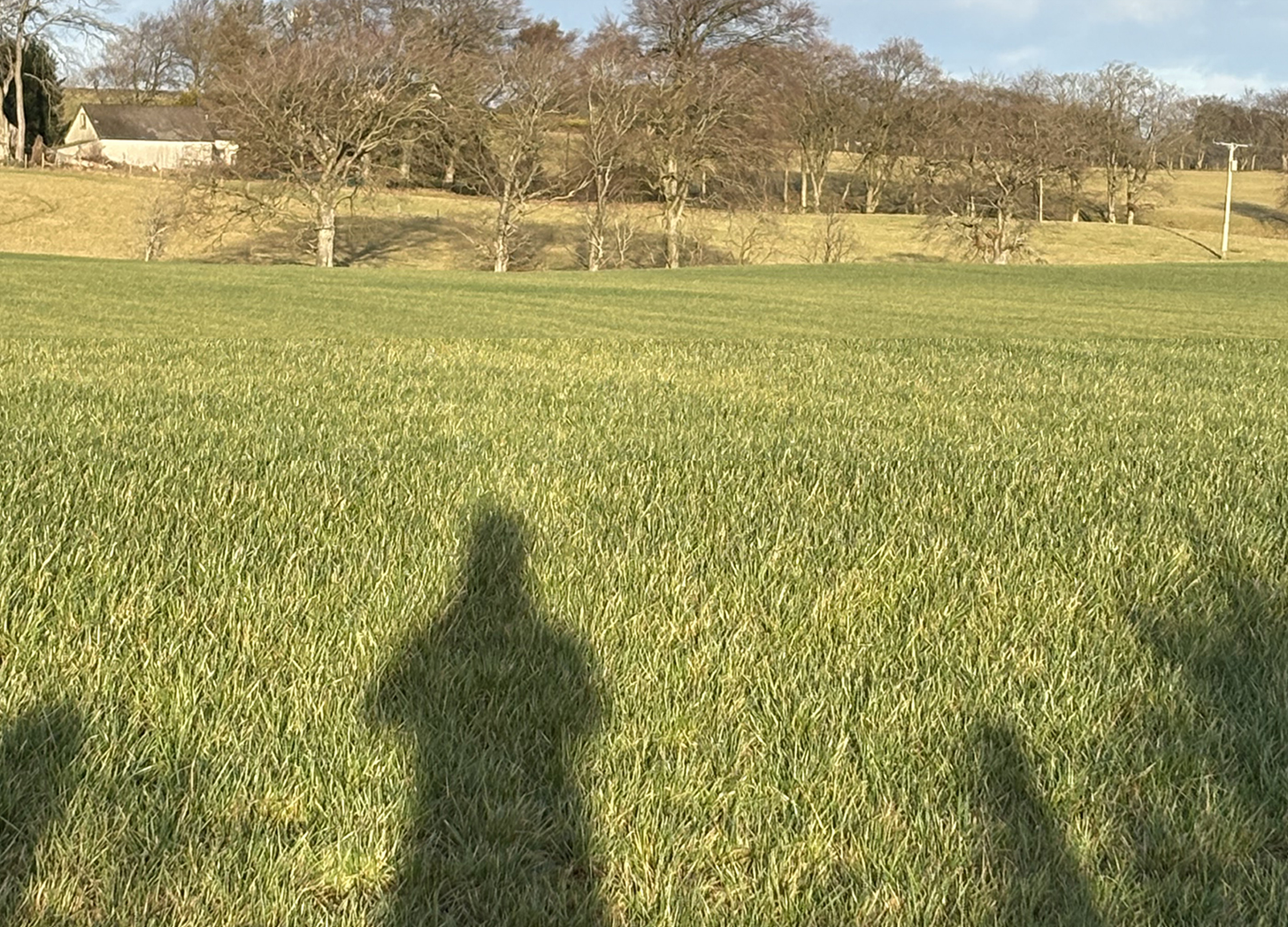 What Is a Goal and Why Should You Care?