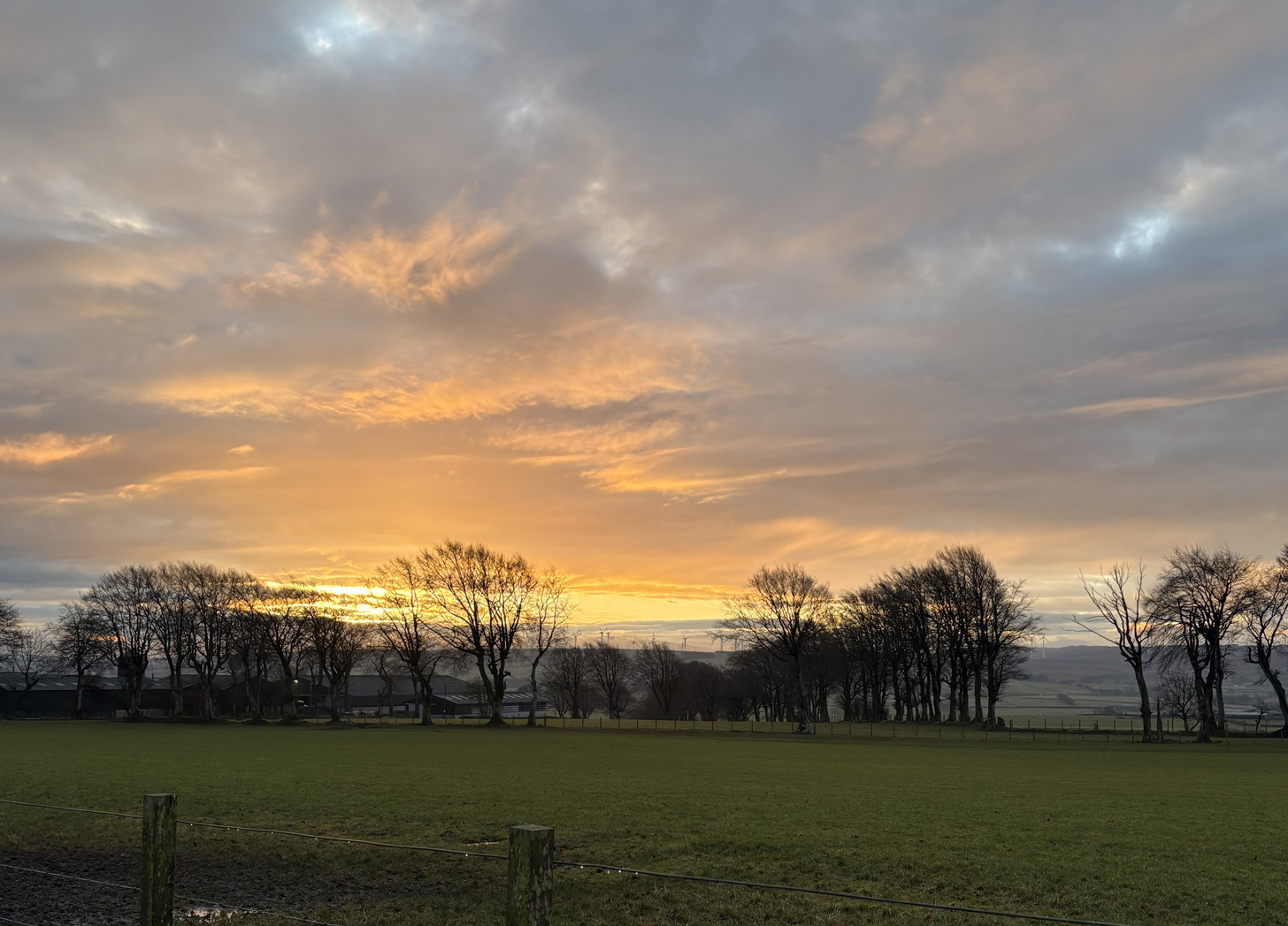 When Is the Best Time to Run